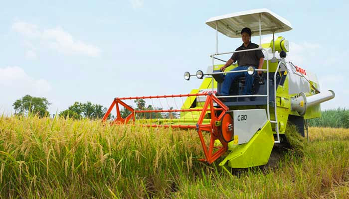 কৃষিতে ভর্তুকি ও নগদ সহায়তা অব্যাহত রাখুন