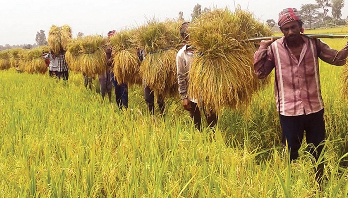 কৃষি খাতে ২৫ হাজার ১২২ কোটি টাকার বরাদ্দ প্রস্তাব