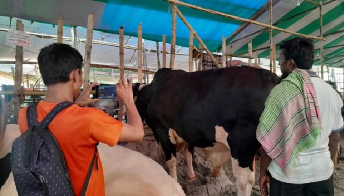 পশুর হাটে বিরক্তির নাম ‘ইউটিউবার’