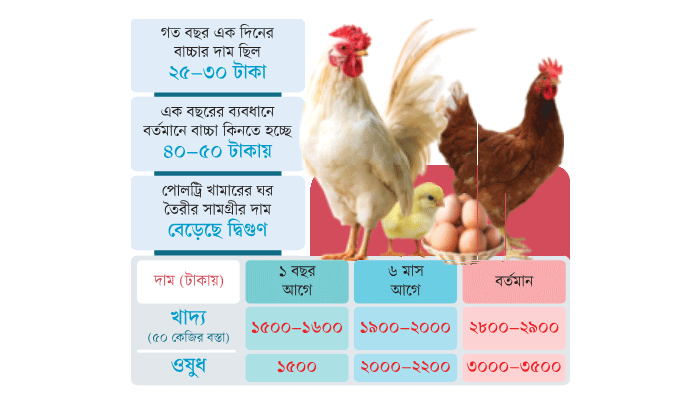 এক বছরে বন্ধ সহস্রাধিক খামার