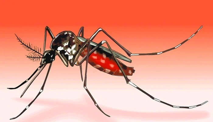 চট্টগ্রামে রেকর্ড ১৪৩ জনের ডেঙ্গু শনাক্ত
