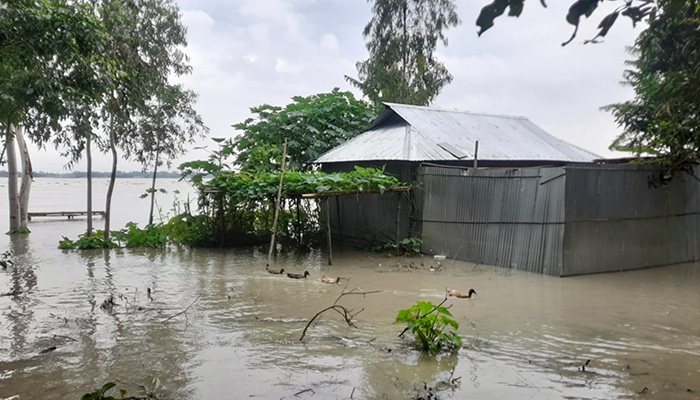 কুড়িগ্রামে ধরলা ও দুধকুমারের পানি বিপৎসীমার উপরে