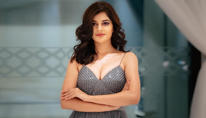 মধুমিতাও ছুটলেন বলিউডে, ভাষা নিয়ে টেনশনে!