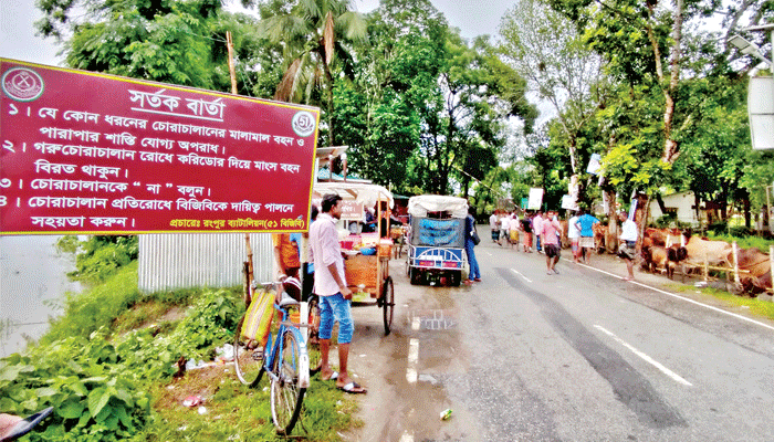 গরু চোরাচালানের জাল উত্তরের সীমান্তে