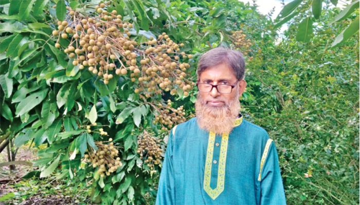 শিক্ষকের বাগানে ১১৯ জাতের ফল