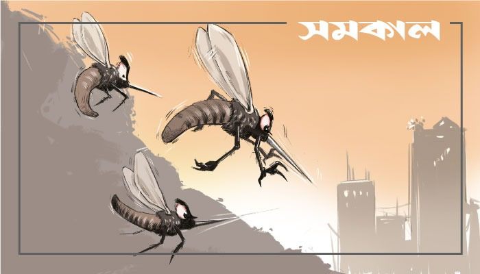 সরকারি হাসপাতালে ৫০ টাকায় ডেঙ্গু পরীক্ষা