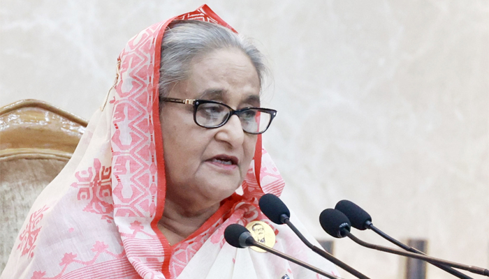 পঁচাত্তর পরবর্তী সরকার ভোটাধিকার কেড়ে দেশের অগ্রযাত্রা থামায়: প্রধানমন্ত্রী