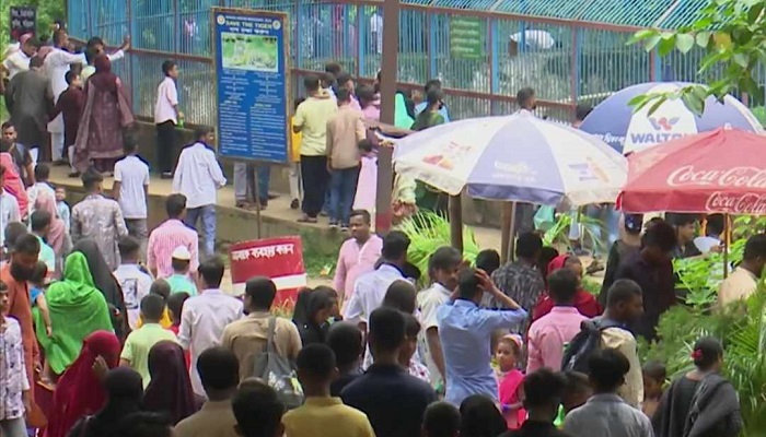 বৃষ্টিতেও চিড়িয়াখানায় দর্শনার্থীদের ভিড়
