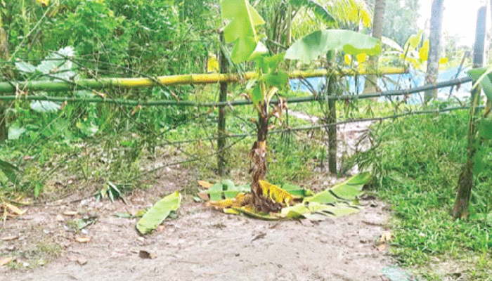 রাস্তায় বেড়া, অবরুদ্ধ চার পরিবার রাস্তায় বেড়া, অবরুদ্ধ চার পরিবার