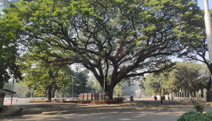 ঢাবি ক্যাম্পাসে বন কর্মচারীকে পিটিয়ে হত্যার অভিযোগ ঢাবি ক্যাম্পাসে বন কর্মচারীকে পিটিয়ে হত্যার অভিযোগ