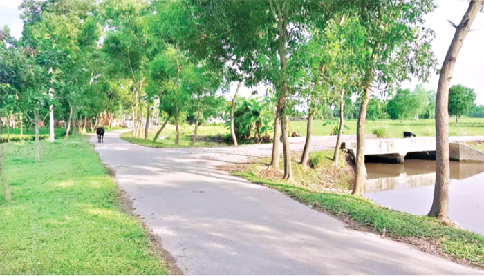 ‘উন্নয়ন জাদু’তে বদলে গেছে জীবনধারা ‘উন্নয়ন জাদু’তে বদলে গেছে জীবনধারা
