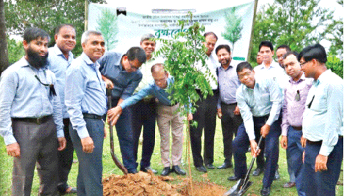 গাজীপুরে ঢাকা স্টক এক্সচেঞ্জের বৃক্ষরোপণ কর্মসূচি