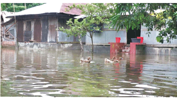 বাঁধ ভেঙে তিন গ্রাম প্লাবিত
