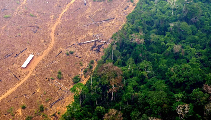 ‘পৃথিবীর ফুসফুস’ আমাজন রক্ষায় ৮ দেশের জোট