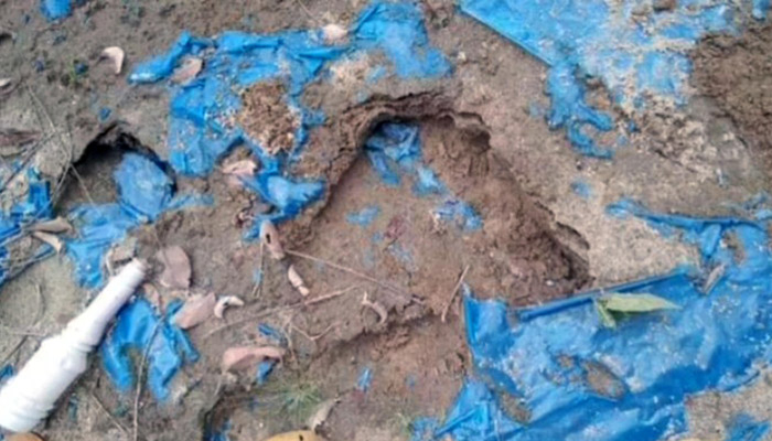 বীরগঞ্জে কবরস্থান থেকে ফের কঙ্কাল চুরি