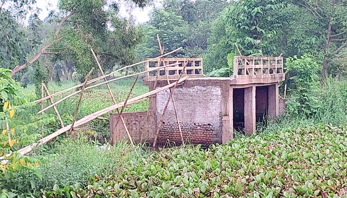 দুই বছরেও হয়নি সড়ক, বাঁশ দিয়ে সেতু পারাপার