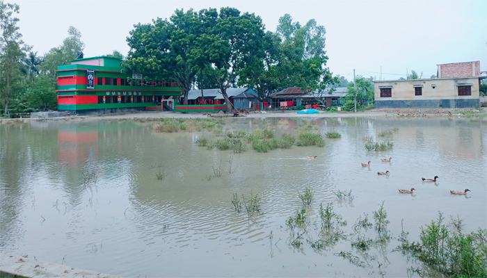 স্কুল মাঠে জলাবদ্ধতা, শিক্ষক–শিক্ষার্থীদের দুর্ভোগ