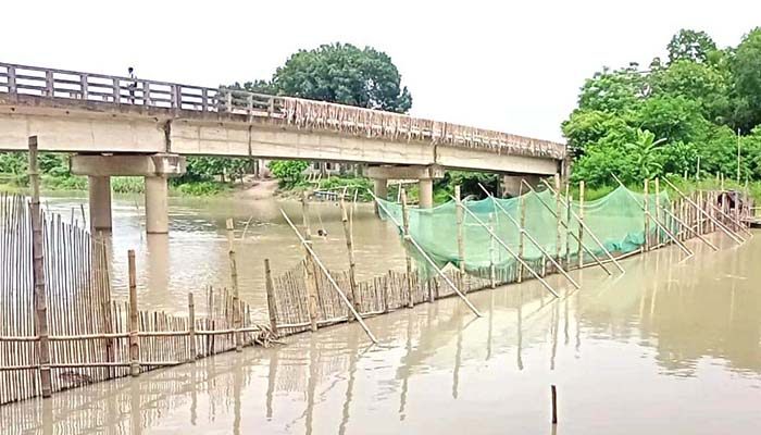 সদরপুরে অবাধে চলছে মা মাছ ও রেনু পোনা নিধন