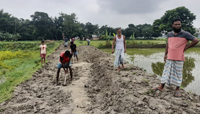 কেটে ফেলা হচ্ছে রাস্তা