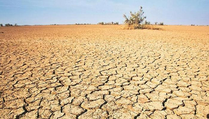 ভরা বর্ষায় বরেন্দ্র অঞ্চলে খরা