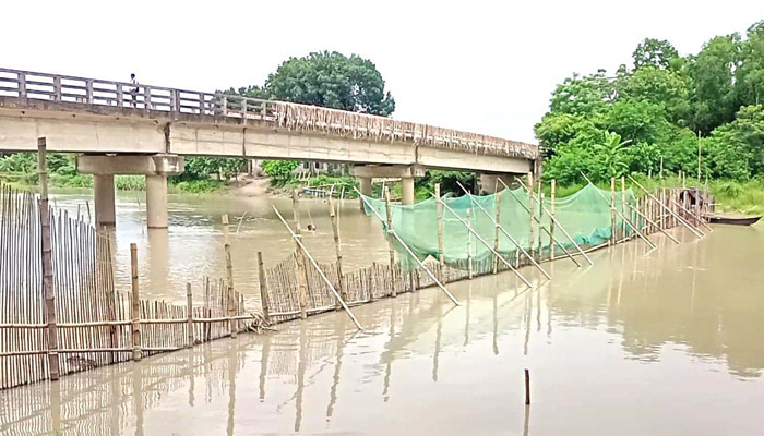 অবাধে রেণু পোনা ও  মা মাছ নিধন