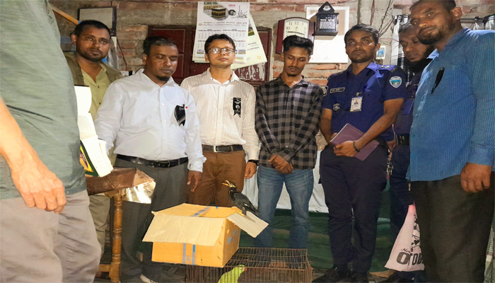বিলুপ্তপ্রায় প্রজাতির পাখি বিক্রি, তরুণের কারাদণ্ড