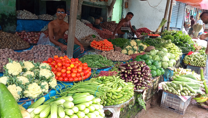 কম বৃষ্টিতে ভাদ্রেই মিলছে শীতের সবজি, দাম চড়া