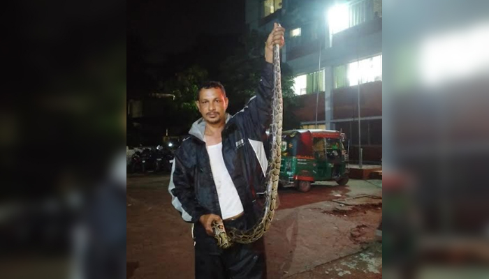 পটিয়ায় বন্যার পানিতে ভেসে এল অজগর সাপ