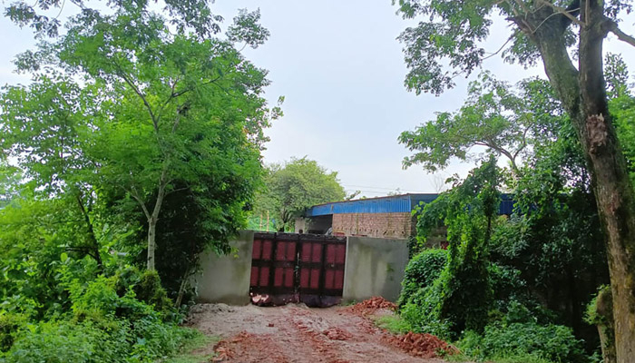ফসলি জমিতে সিসা কারখানা ফসলি জমিতে সিসা কারখানা