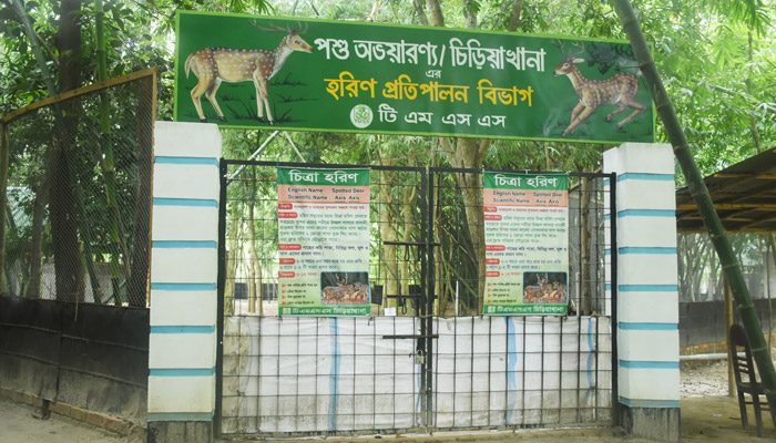 টিএমএসএসের বগুড়া পশু অভয়ারণ্যের ৪ হরিণের মৃত্যু