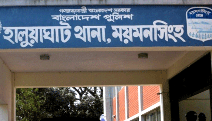 অপবাদ দিয়ে নারীসহ দু’জনকে গাছে বেঁধে নির্যাতন