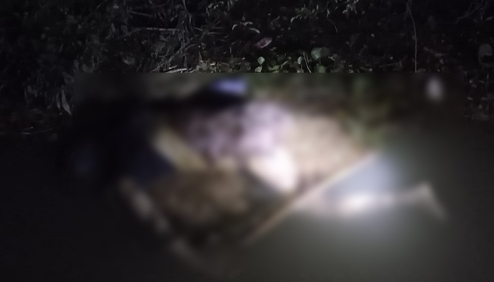 নদীতে ভাসছিল অজ্ঞাত ব্যক্তির অর্ধগলিত লাশ
