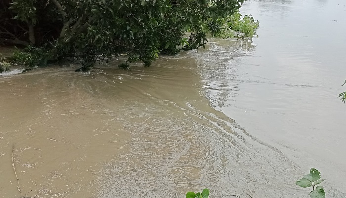 আত্রাই নদীর বেড়িবাঁধ ভেঙে বিস্তীর্ণ এলাকা প্লাবিত