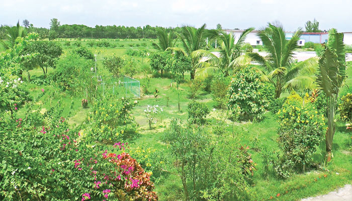 দস্যু হটিয়ে চরে কৃষি  পর্যটনের হাতছানি