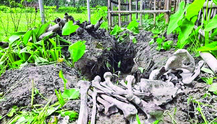 কঙ্কাল চুরি রোধে কবরস্থানে পুলিশের নজরদারি