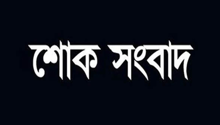 সমকালের চকরিয়া প্রতিনিধি মাহমুদের মায়ের ইন্তেকাল