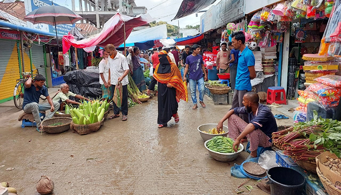 সংসার চালানো দায়