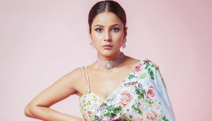 সিনেমার প্রচার অনুষ্ঠানে অসুস্থ, হাসপাতালে শেহনাজ গিল