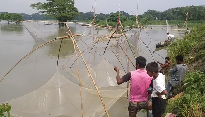 ৩৭ কোটি টাকার মাছ ভেসে গেছে