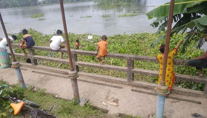 অকার্যকর স্লুইসগেটে জলাবদ্ধতা