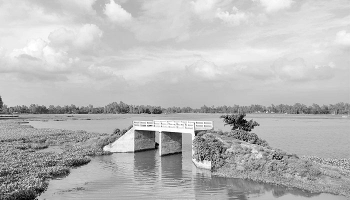 কাজে আসছে না সেতুটি