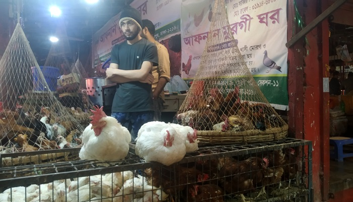 ব্রয়লার মুরগি কেজিতে বেড়েছে ১৫ টাকা, চড়া পেঁয়াজও