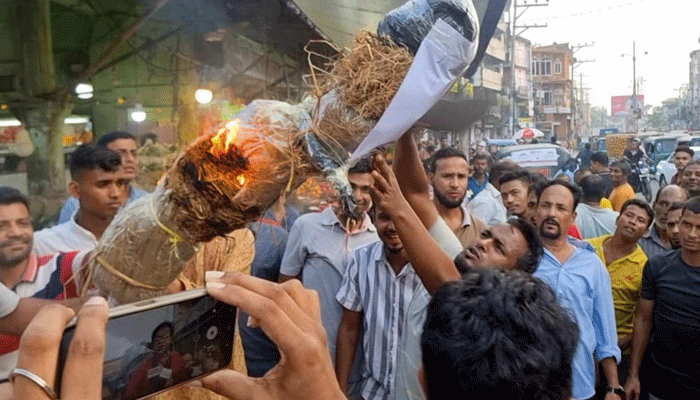 শমসের মবিনকে ‘অবাঞ্ছিত’ ঘোষণা বিএনপির, কুশপুত্তলিকা দাহ