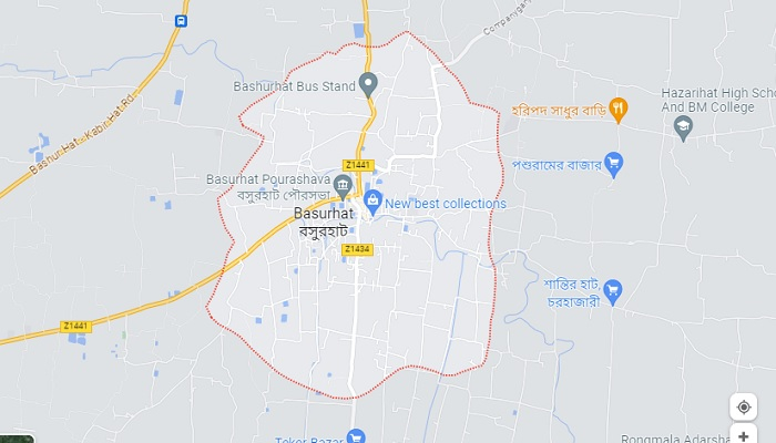 রোডমার্চে যাওয়ার পথে হাসনা মওদুদের গাড়িবহরে হামলার অভিযোগ